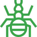 Vector