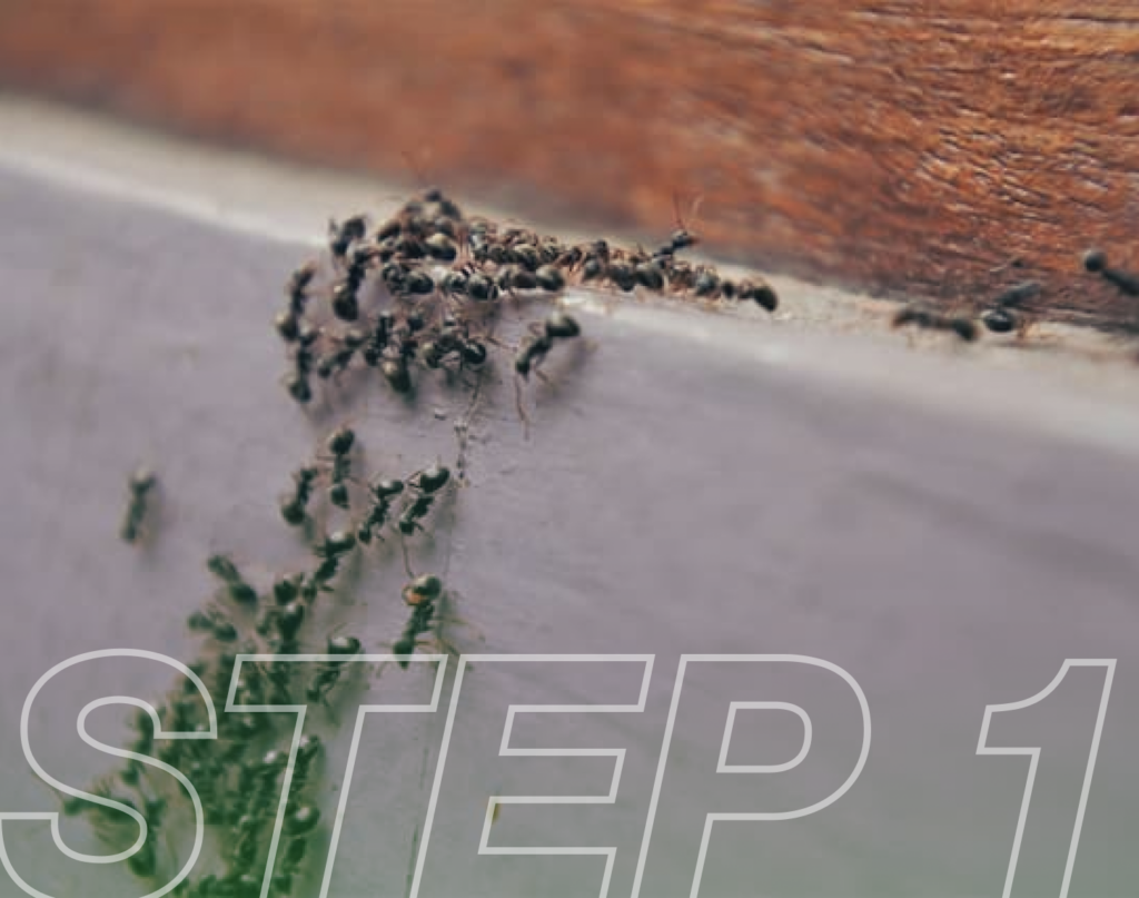 Freepik candid image photography natural textures highly r 2822 (1)